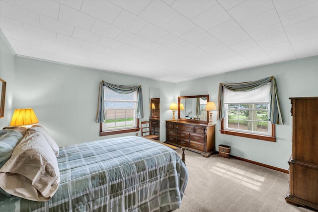 13809 Pine Rd, Dewitt, IL 61735 - carpeted bedroom featuring multiple windows