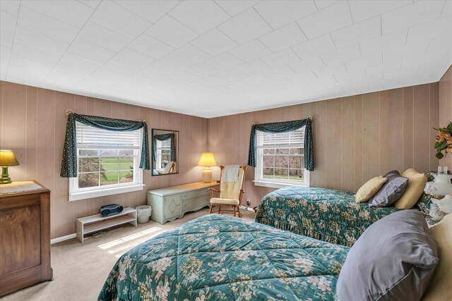 13809 Pine Rd, Dewitt, IL 61735 - bedroom with carpet floors and wood walls