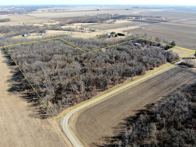 13809 Pine Rd, Dewitt, IL 61735 - aerial view of sparsely populated area featuring property parcel outlined