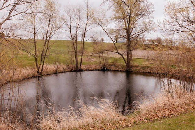 5840 S Elmoville Rd, Stockton, IL 61085 - photo 42