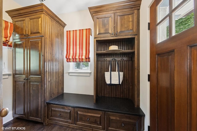 437 N County Line Rd, Hinsdale, IL 60521 - mudroom featuring dark wood-style floors