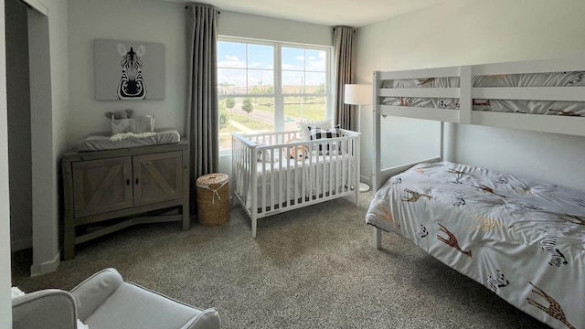 1038 Emerald Dr, Montgomery, IL 60538 - view of carpeted bedroom
