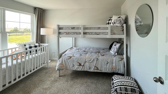 1038 Emerald Dr, Montgomery, IL 60538 - view of carpeted bedroom