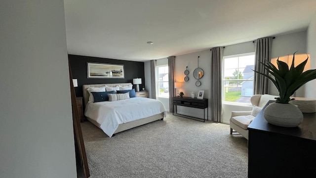 1038 Emerald Dr, Montgomery, IL 60538 - carpeted bedroom with multiple windows