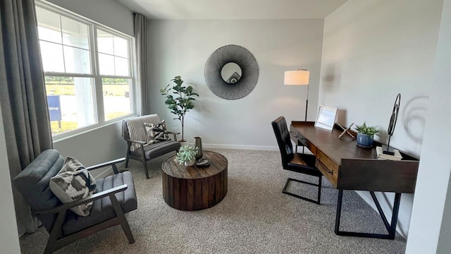 1038 Emerald Dr, Montgomery, IL 60538 - carpeted office space featuring baseboards