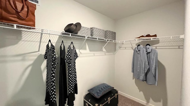 1038 Emerald Dr, Montgomery, IL 60538 - spacious closet featuring carpet flooring