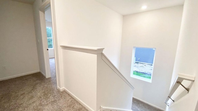 1038 Emerald Dr, Montgomery, IL 60538 - hall with an upstairs landing and carpet floors