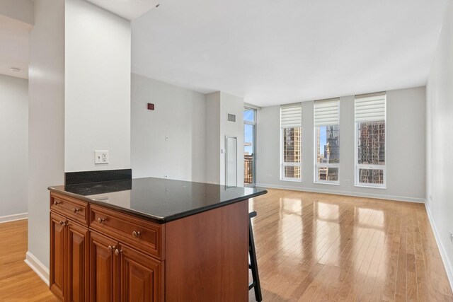 1250 S Michigan Ave Unit 2304, Chicago, IL 60605 - photo 7