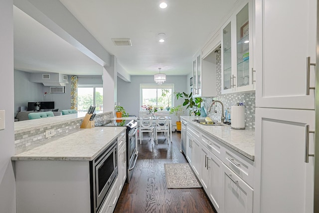 2424 E Oakton St Unit 3E, Arlington Heights, IL 60004 - kitchen with stainless steel appliances, white cabinetry, tasteful backsplash, dark wood-style flooring, and recessed lighting