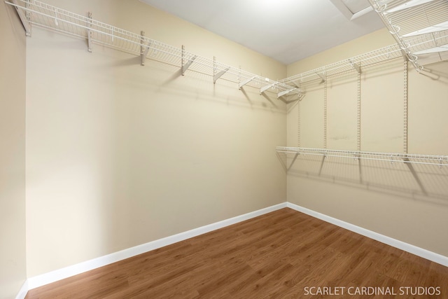 7334 Maridon Rd, Countryside, IL 60525 - walk in closet featuring wood finished floors