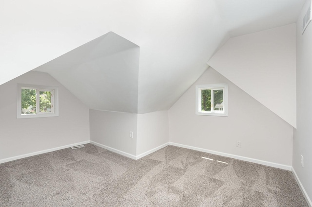 230 Brierhill Dr, Round Lake Park, IL 60073 - additional living space with healthy amount of natural light, carpet floors, and lofted ceiling