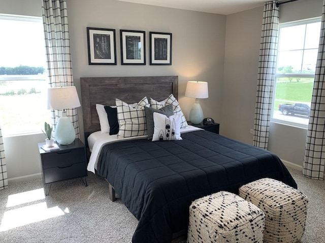 994 Garnet Ln, Montgomery, IL 60538 - bedroom featuring carpet flooring and multiple windows