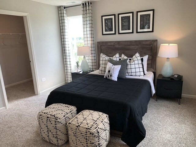 994 Garnet Ln, Montgomery, IL 60538 - bedroom with carpet floors, a walk in closet, and a closet