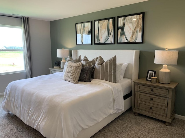994 Garnet Ln, Montgomery, IL 60538 - carpeted bedroom with baseboards