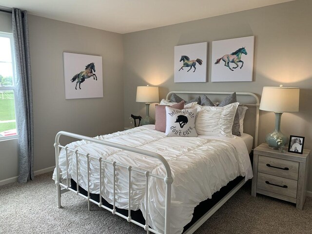 994 Garnet Ln, Montgomery, IL 60538 - bedroom with carpet floors and baseboards