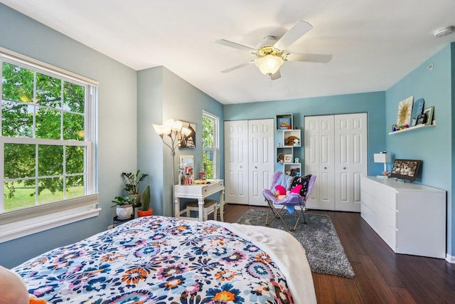 454 Blue Springs Dr, Fox Lake, IL 60020 - bedroom with multiple closets, multiple windows, and wood finished floors