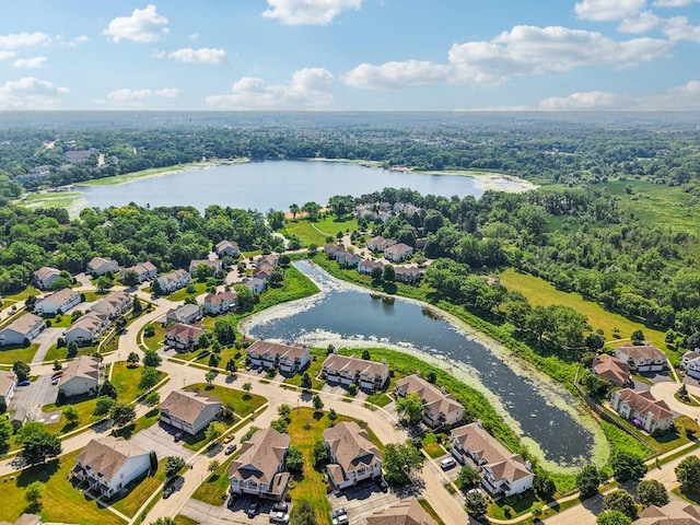 454 Blue Springs Dr, Fox Lake, IL 60020 - aerial view of residential area with a large body of water