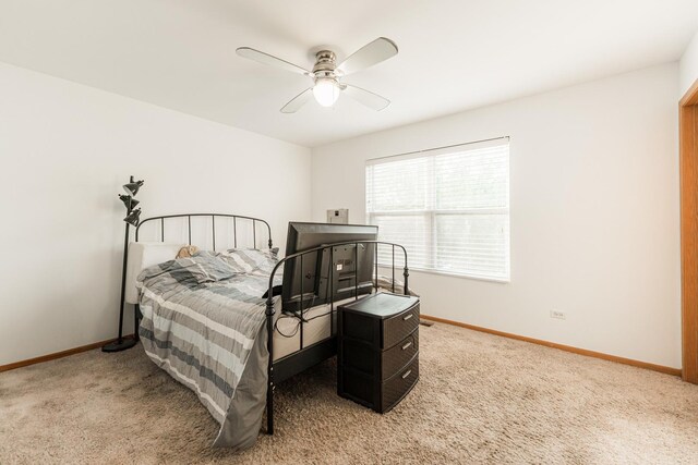 1496 Larkspur Ct, Romeoville, IL 60446 - photo 12