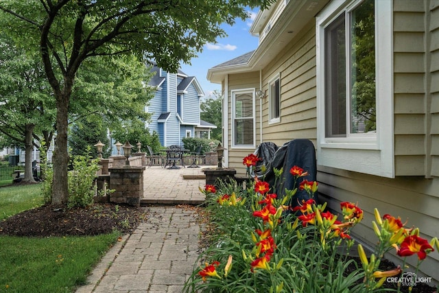 2939 Beth Ln, Naperville, IL 60564 - photo 35