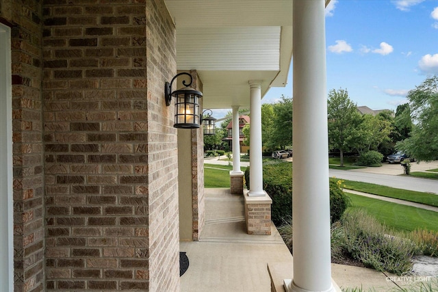 2939 Beth Ln, Naperville, IL 60564 - photo 43