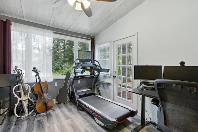 204 Wood St, Wilmington, IL 60481 - workout room featuring ceiling fan, wood finished floors, and lofted ceiling