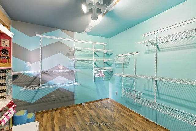 204 Wood St, Wilmington, IL 60481 - walk in closet with wood finished floors