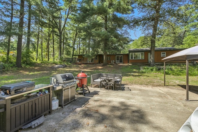 204 Wood St, Wilmington, IL 60481 - view of patio / terrace with grilling area