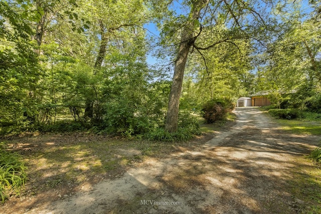 204 Wood St, Wilmington, IL 60481 - view of yard with an outbuilding, a garage, and driveway