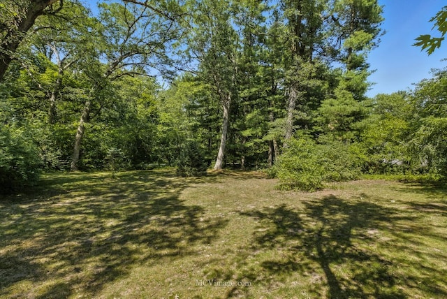 204 Wood St, Wilmington, IL 60481 - view of grassy yard with a view of trees