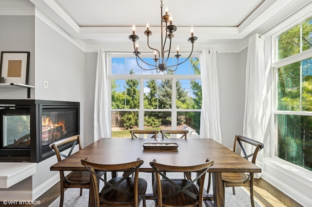 161 N Schubert St, Palatine, IL 60067 - dining space featuring a chandelier, a tray ceiling, ornamental molding, wood finished floors, and a glass covered fireplace