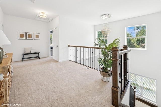 161 N Schubert St, Palatine, IL 60067 - hallway with carpet flooring and baseboards