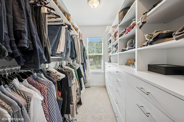 161 N Schubert St, Palatine, IL 60067 - spacious closet featuring light colored carpet