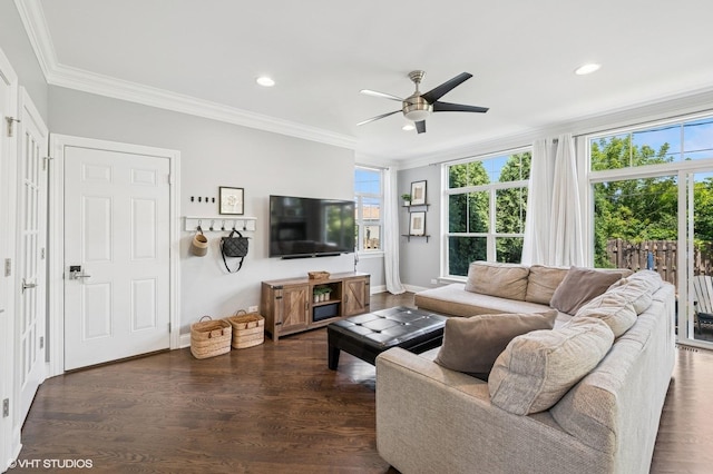 161 N Schubert St, Palatine, IL 60067 - living area with a ceiling fan, ornamental molding, plenty of natural light, recessed lighting, and dark wood-style floors