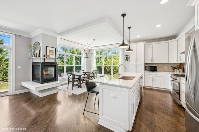 161 N Schubert St, Palatine, IL 60067 - kitchen featuring stainless steel appliances, dark wood finished floors, plenty of natural light, crown molding, and recessed lighting