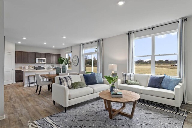 994 Amethyst Ln, Montgomery, IL 60538 - living room featuring light wood-type flooring and recessed lighting