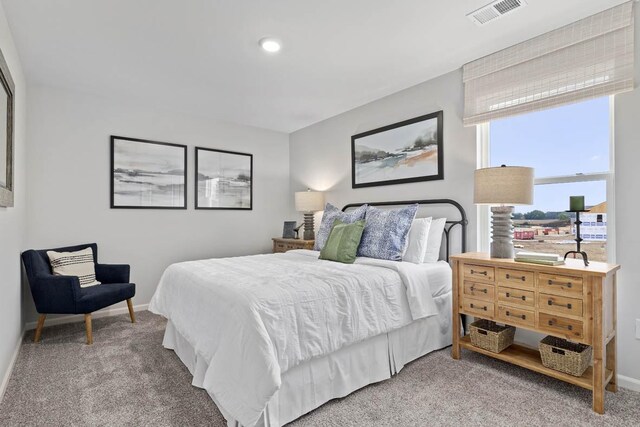 994 Amethyst Ln, Montgomery, IL 60538 - bedroom featuring light colored carpet and baseboards