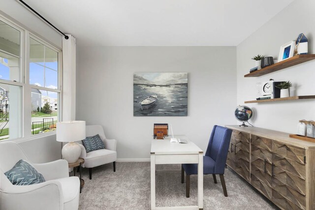 994 Amethyst Ln, Montgomery, IL 60538 - home office featuring carpet and baseboards