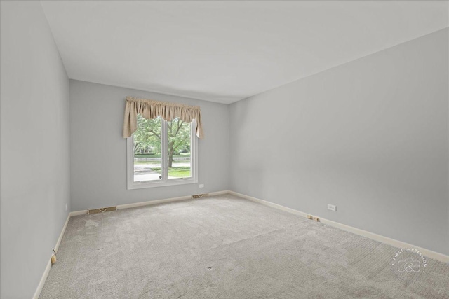 1105 W Bauer Rd, Naperville, IL 60563 - spare room with baseboards and carpet floors
