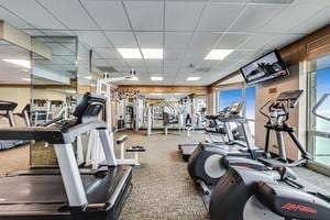 195 N Harbor Dr Unit 709, Chicago, IL 60601 - exercise room featuring a paneled ceiling