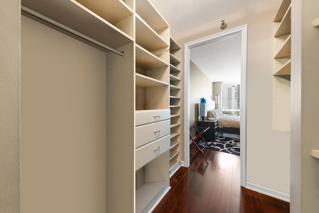 195 N Harbor Dr Unit 709, Chicago, IL 60601 - spacious closet with dark wood-style floors