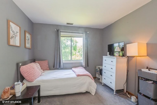 2261 Petworth Ct Unit 201C, Naperville, IL 60565 - view of carpeted bedroom