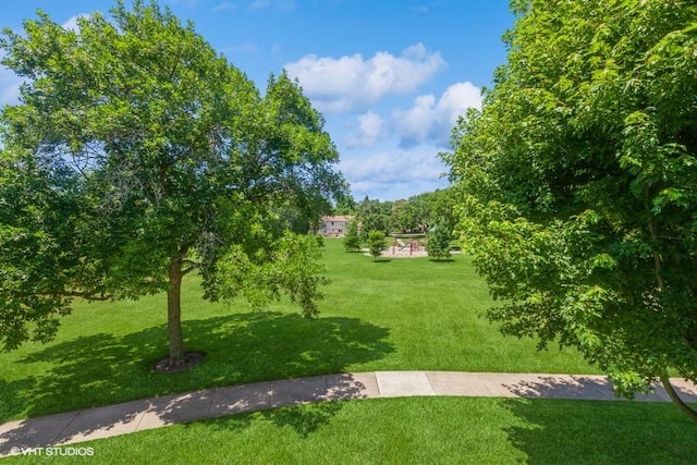 2261 Petworth Ct Unit 201C, Naperville, IL 60565 - surrounding community with a yard
