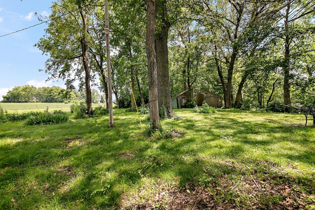 3015 N 1700 E Rd, Martinton, IL 60951 - photo 27