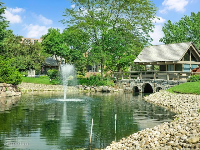 1401 Burr Oak Rd Unit 312B, Hinsdale, IL 60521 - water view