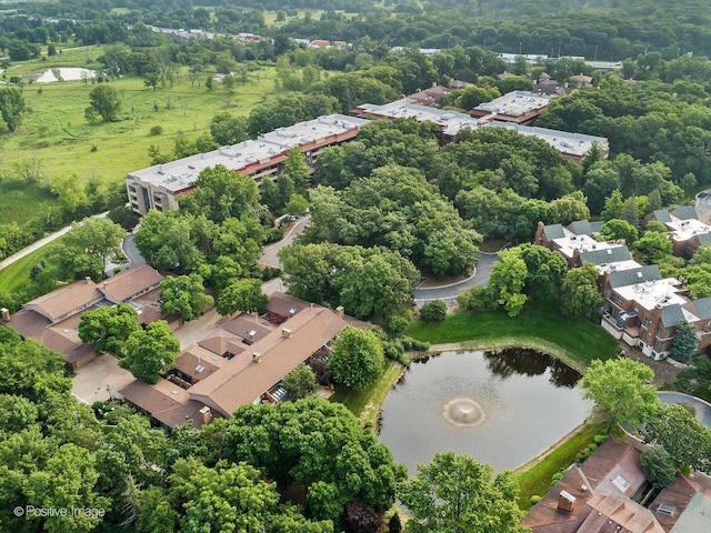 1401 Burr Oak Rd Unit 312B, Hinsdale, IL 60521 - bird's eye view of a nearby body of water