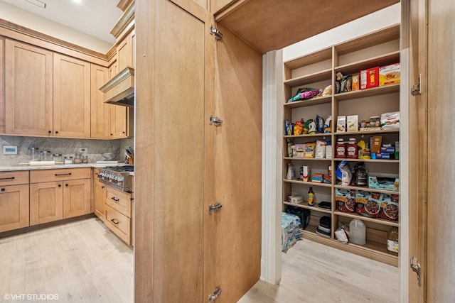 2104 Shermer Rd, Northbrook, IL 60062 - view of storage area