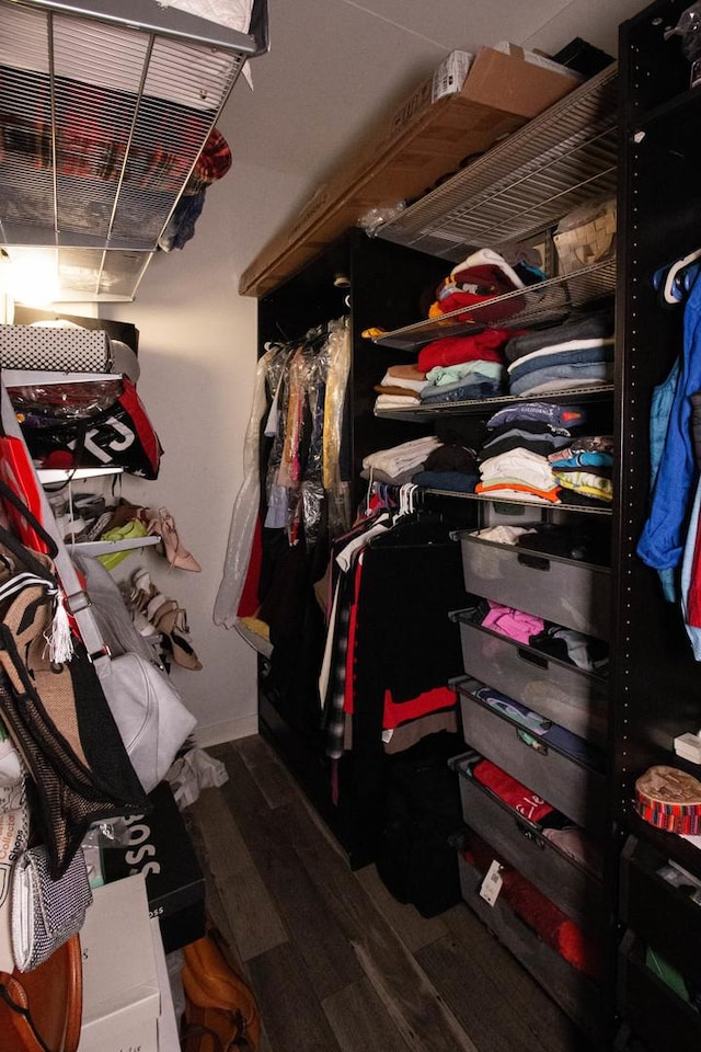 50 E 16th St Unit 311, Chicago, IL 60616 - spacious closet with wood finished floors