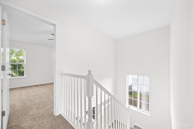 1111 Burns Ln, Minooka, IL 60447 - photo 17