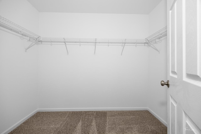 1111 Burns Ln, Minooka, IL 60447 - photo 20