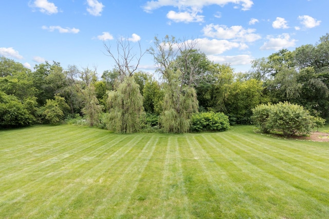 3210 Boerderij Way, Woodstock, IL 60098 - photo 32